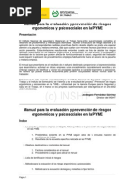 Manual para La Evaluaciòn y Prevenciòn de Riesgos Ergonomicos y Psicosociales