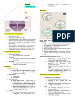 Computer Architecture and Organization Reviewer