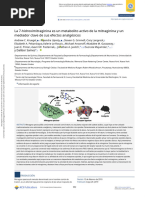 Articulo Kratom Español