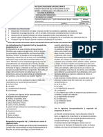 Formato - Evaluación - Trimestral. 10°