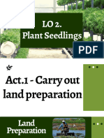 Plant Seedlings