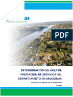 Informe Area de Prestación de Servicios de Amazonas