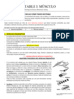 3.1 Excitabilidad - Músculo Esquelético