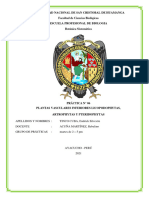 Práctica N 06 Plantas Vasculares Inferiores