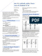 8 - Neutralização Do Conteúdo Séptico Tóxico