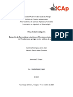 Extracción de Flavonoides Producidos Por Pleurotus Ostreatus para La Inhibición de Pseudomonas Syringae en Los Cultivos de Cebada