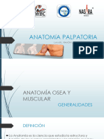 ANATOMíA PALPATORIA