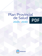 Plan Provincial de Salud 2024 2030 Libro - Indd o