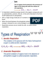 Respiration Notes