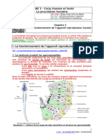 Chapitre 2 Organes Reproducteurs