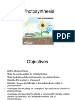 Chapter 6 Photosynthesis