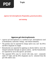 Agarose Gel Electrophoresis Lecture