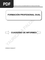 Emit-217 - Cuaderno de Informes Yauricasa Palomino