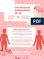 Diferencias Sexuales en El Funcionamiento Del SN