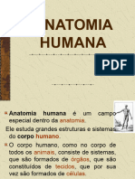 Anatomia Humana