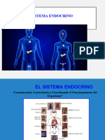 Sistema Endocrino