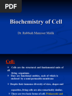 Cell Nursing