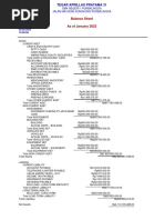 Standard Balance Sheet 1 23