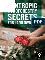 SYNTROPIC AGROFORESTRY SECRETS FOR LAND OWNERS BOOKLET v2