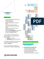 Anaphy MIDTERMS Reviewer