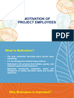 Motivation of Project Employees