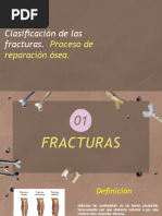 Clasificación de Las Fracturas - Proceso de Reparación Ósea