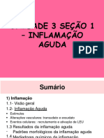 Aula - Inflamação e Reparo Tecidual