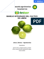 Manejo Integrado Del Cultivo de Limon