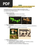 Apuntes Micología - V Ciclo (3) - 1