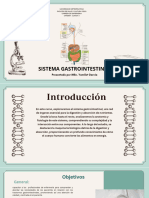 Sistema Gastrointestinal