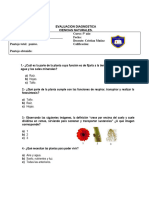 Evaluacion Diagnostica 5 Basico Ciencias