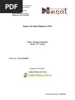 Rapport de Stage FirasAouinet