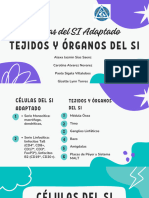 Tejidos y Órganos Del Sistema