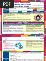 5 Primaria - Saberes y Pensamiento - Enero