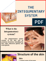 Integumentray System by Hasnairah M. Limbotongan