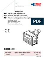 r40gs10 Riello Gas