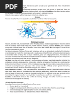 Neuroscience Week 2