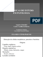 Técnicas de Estudo em Patologia