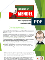 Aplicación de Las Leyes de Mendel 3er Año