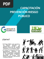 Capacitación Prevención Riesgo Público