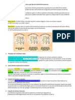 Guia Awesome Mix Volumen 3 para Pasar El Examen de La Doctora Norma