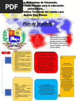 Cuadro Plan de La Patria