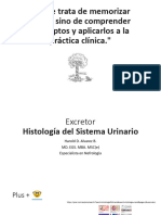 Excretor Histologia