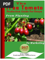 Tree Tomato Farming Guide