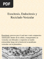 Exocitosis, Endocitosis y Reciclado Vesicular