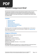 4007mkt Cw2 Brief Final