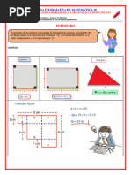 Ficha Informativa 20 - Areas y Perimetros