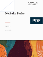 Net Suite Basics