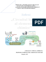 Referat - Circuite Biogeochimice