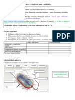 Celula. Estructura Basica NSL